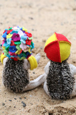 Load image into Gallery viewer, Bertie &amp; Wyn: Hedgehog sewing pattern
